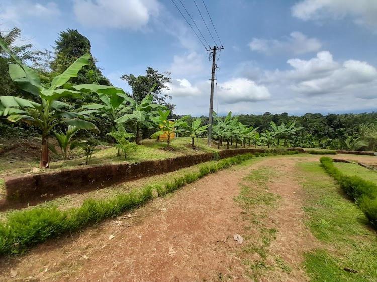 Nisarga Homestay, Dharmasthala Dharmastala Екстер'єр фото
